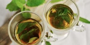 green tea benefits