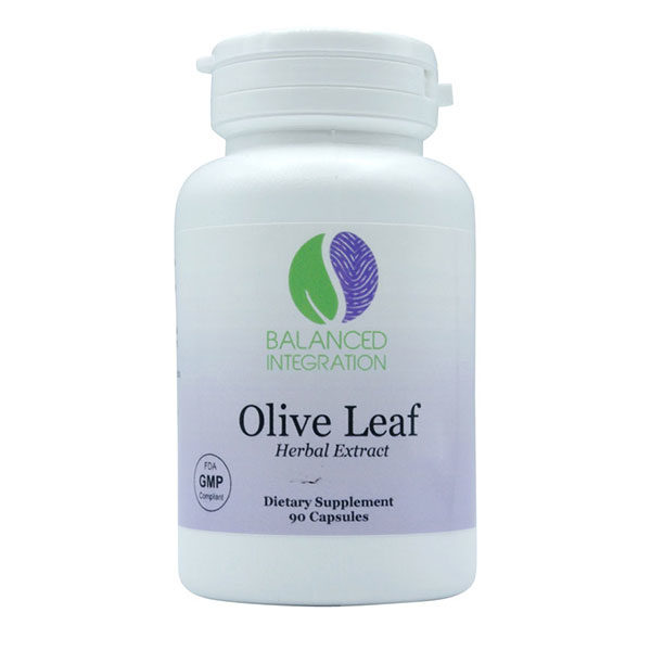 Olive Leaf