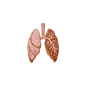 Lung Support