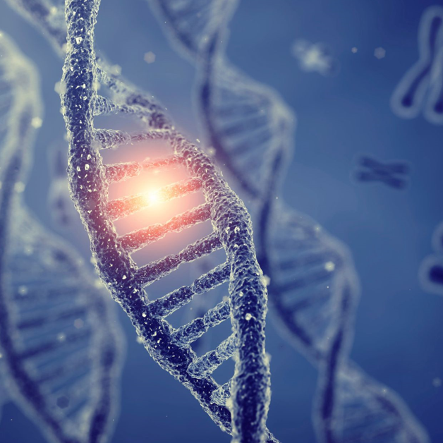 Precision Medicine Cancer Care